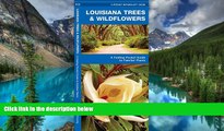READ FULL  Louisiana Trees   Wildflowers: A Folding Pocket Guide to Familiar Species (Pocket