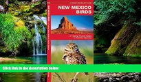 Must Have  New Mexico Birds: A Folding Pocket Guide to Familiar Species (Pocket Naturalist Guide