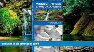 Must Have  Missouri Trees   Wildflowers: A Folding Pocket Guide to Familiar Species (Pocket