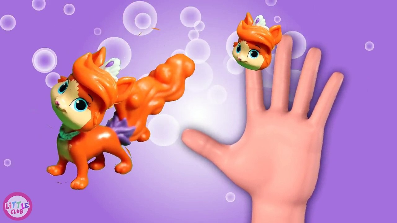 Animals Finger Family Nursery Rhymes for Children