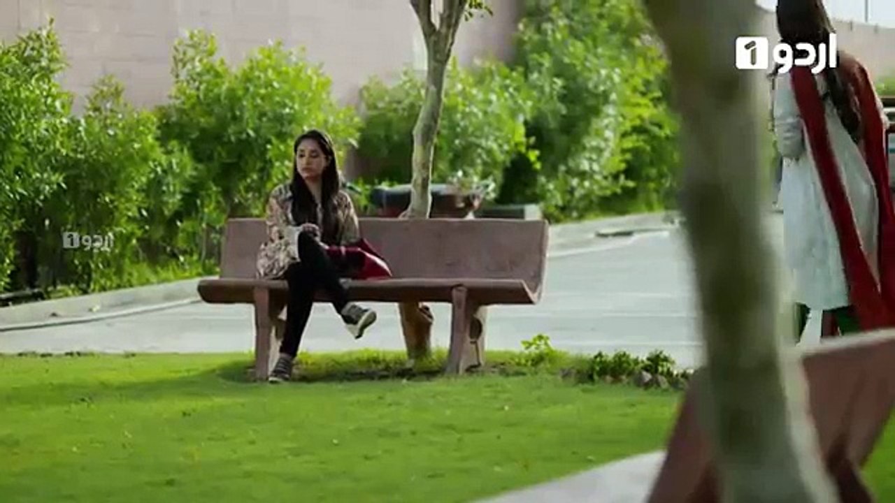 Shehrnaz - Episode 01 - Urdu1