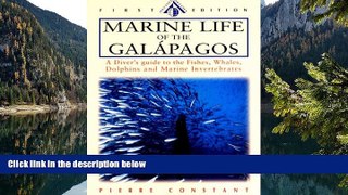 Deals in Books  Marine Life of the Galapagos: A Diver s Guide to the Fishes, Whales, Dolphins and