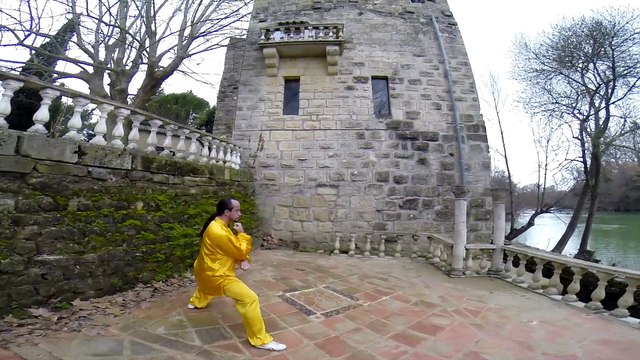 Frédéric Bernal Tai Chi mouvements