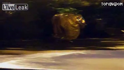 SCARIEST KILLER CLOWN SIGHTINGS CAUGHT ON CAMERA!