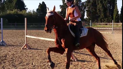 Bibi saut