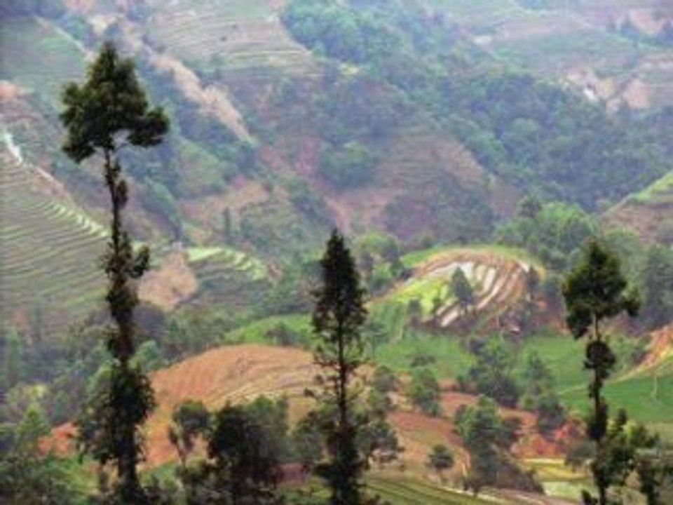 CHINE YUANYANG et ses rizières YUNNAN