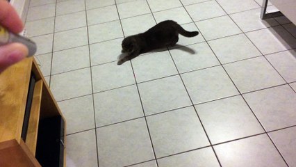 2016-10 Le point rouge