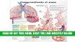 [FREE] EBOOK Understanding Asthma Anatomical Chart in Spanish (Entendiendo El Asma) ONLINE