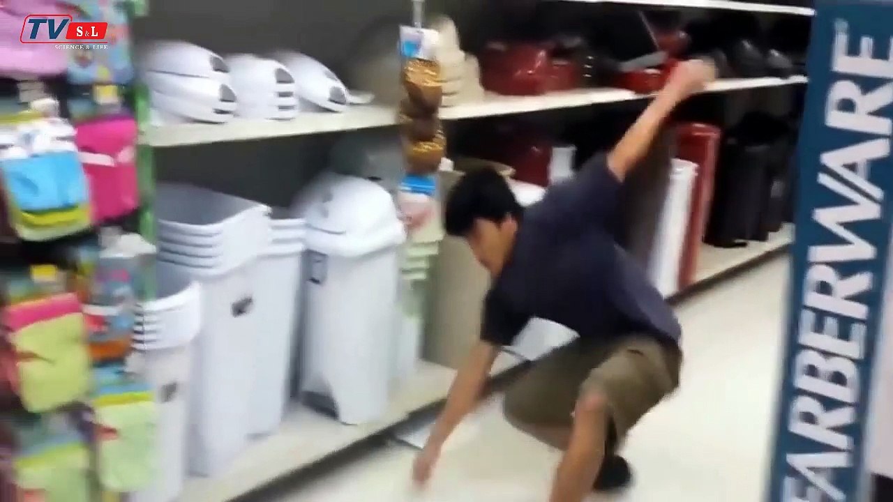 Funny animals compilation | funny cats | funny dogs | animals fails | funny videos