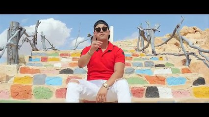 Master Sina Amigo: Expert Guide