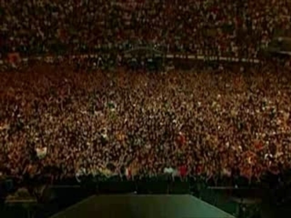 No Bull 10 Dog Eat Dog acdc