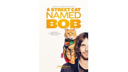 A Street Cat Named Bob (2016)
