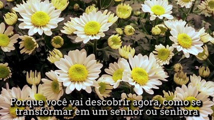 Aplicativo Mental Hipnoser 4.0 - Reprogramação Mental