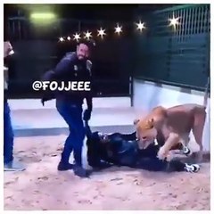 لبوة تهجم على فتاة في دبي جا يفدلك ياخي حصل