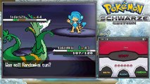 Lets Play Pokémon Schwarze Edition Part 58: Auf zur Pokémon-Liga!!