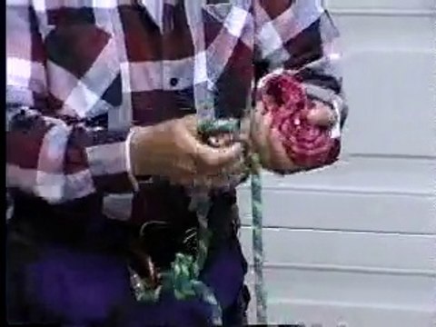 Climbing Tools - Prussik for glacier travel-esXdW4uEVRY