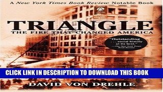 Best Seller Triangle: The Fire That Changed America Free Read