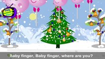 Peppa Pig lollipop Finger Family Nursery Rhymes Lyrics