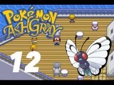 Pokémon Ash Gray: Episode 12 - Butterfree is Back!