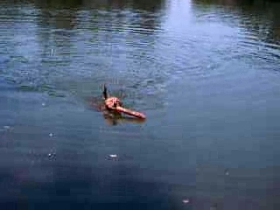 lady dans l'eau