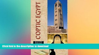 READ  Egypt Pocket Guide: Coptic Egypt (Egypt Pocket Guides) FULL ONLINE
