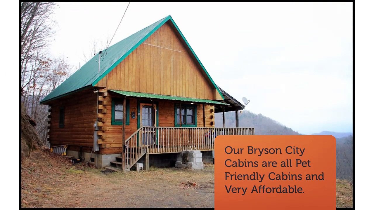 Sleeping Dog Cabin Rentals in Bryson City, NC