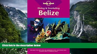 Big Deals  Lonely Planet : Diving   Snorkeling Belize  Best Seller Books Best Seller