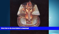 READ PDF Egyptian Museum In Cairo: A Walk Though the Alleys of Ancient Egypt PREMIUM BOOK ONLINE