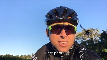 Un cycliste se fait attaquer par une pie très en colère