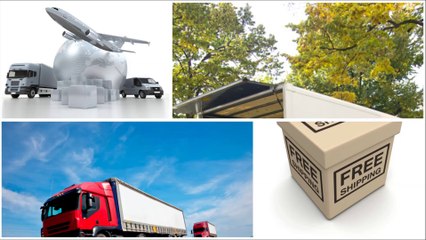 Last Minute Moves LLC-(352) 560-7177