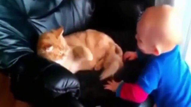 funny baby videos try not to laugh challenge impossible funny videos 2016