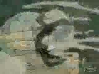 YouTube - Naruto - Best Fights AMV