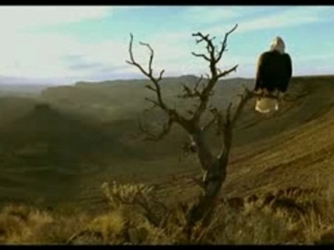 Nomadas del Viento 3