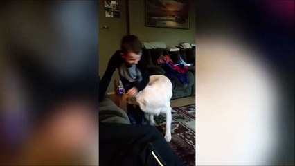 Piégé par son propre chien...