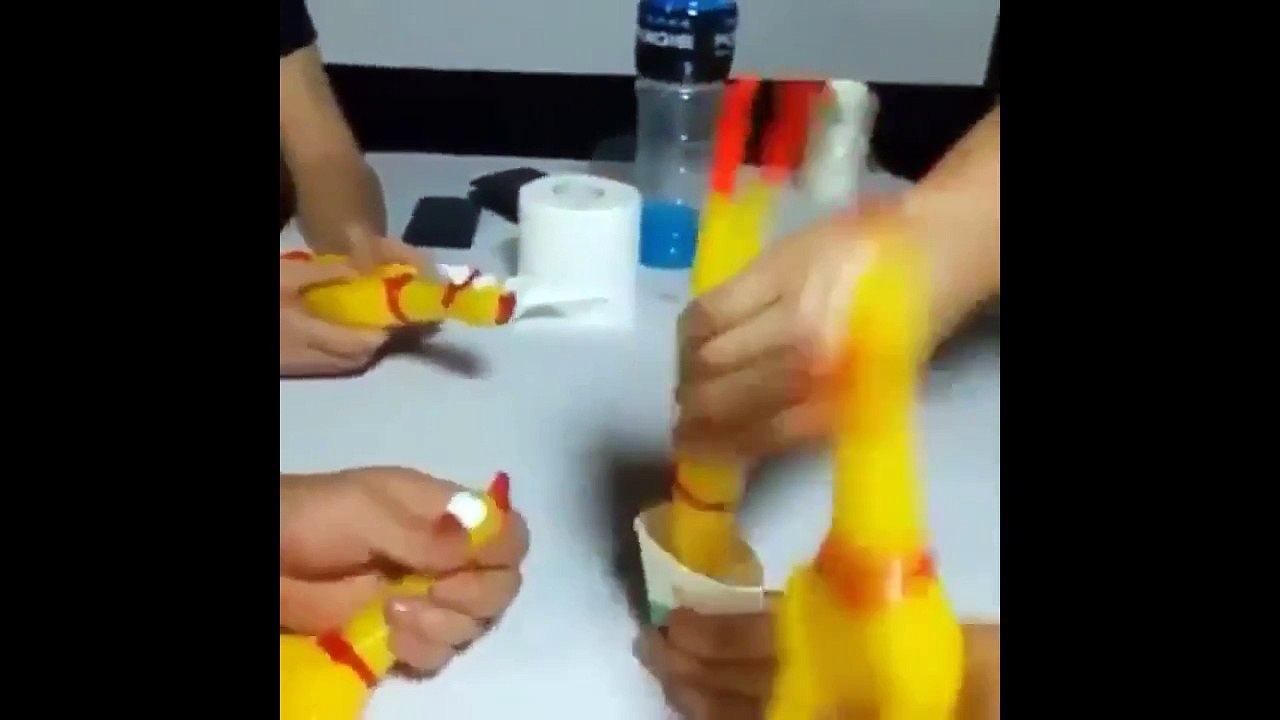 Best funny video compilation