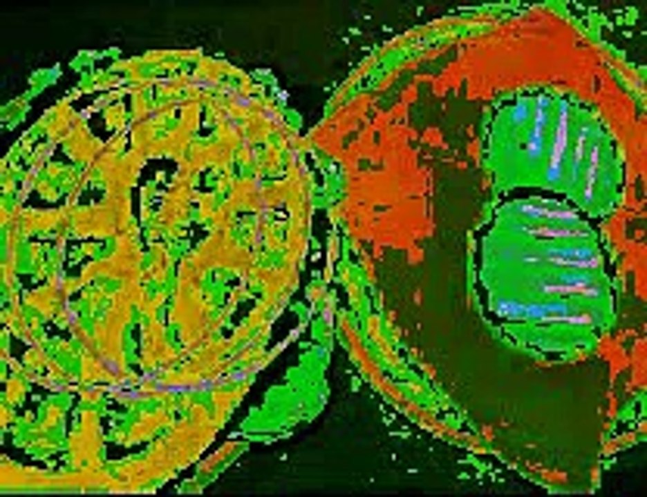 FALLING RIGHT IN - GUNG-HO JIHAD