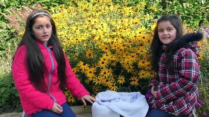 HATCHIMALS SURPRISE EGGS OPENING! New 2016 Kids Toy Review _ CupcakeSurpriseToys-sm69dw1qfxk