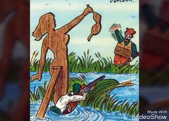 Shocking Illustrations Reveal How Animals Feel by