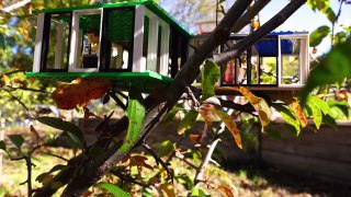 Lego Tree House!- Creative Kids_Cub Scout Activities-pFdWZW2Kr8Y