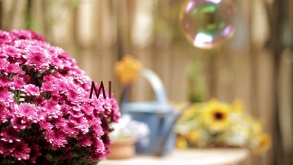 Γιάννα Βασιλείου - Μια Στιγμή Στο Χρόνο - Official Audio Release