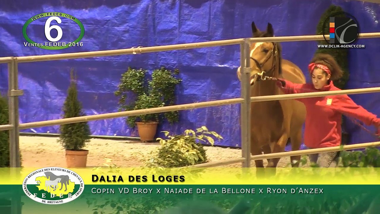 06 - Dalia des Loges