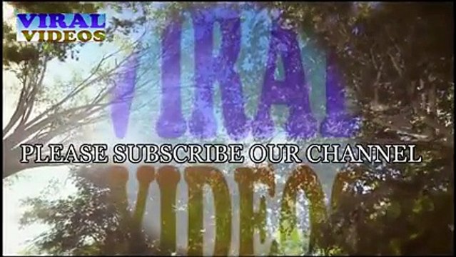 Pakistani Politicians Who Were Actors