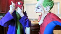 Spiderman vs Joker Spiderman Loses His Head w Frozen Elsa Venom Finger Family Fun Superheroes