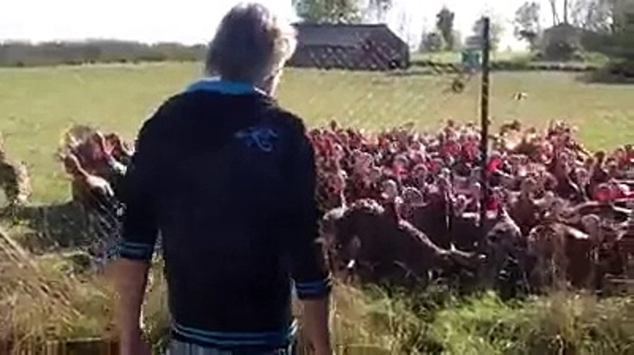 I CORI DEI 'TACCHINI ULTRAS'!!!