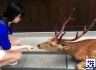 شکریہ کا انوکھا طریقہ