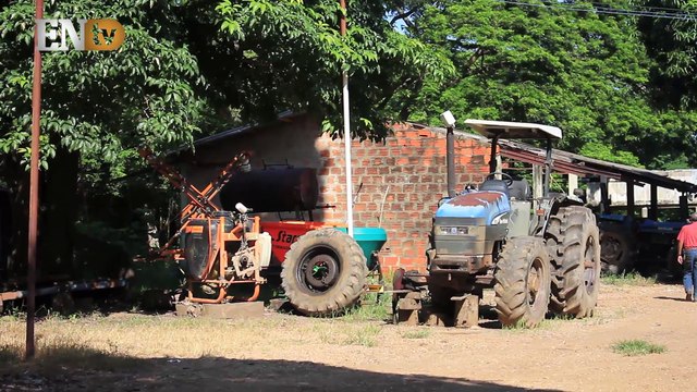 Arroz calaboceño: mueren las hectáreas de 60 años de tradición