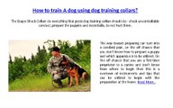 How to train A dog using dog training collars?