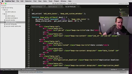 Adding Quicktags to Custom Fields in WordPress Part 13 - YouTube