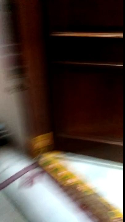 Funny magic dog work
