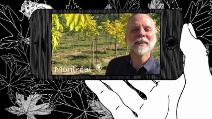 Appel à projets Parisculteurs : résultats et  lauréats